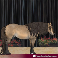 Horse Color:Buckskin Dun 