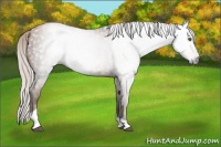 Horse Color:Gray Silver Black Pearl Tobiano 