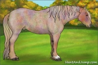 Horse Color:Nacre Red Roan 