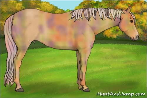 Horse Color:Nacre Palomino 