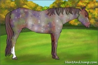 Horse Color:Nacre Liver Chestnut 