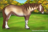 Horse Color:Red Onyx 