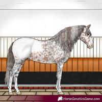 Horse Color:Bay Snowcap 