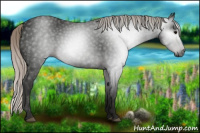Horse Color:Gray Silver Black 
