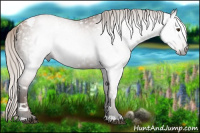 Horse Color:Gray White Spotted Silver Black Pearl