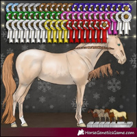 Horse Color:Smoky Black Pearl