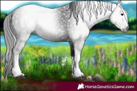 Horse Color:Gray White Spotted Smoky Black Tobiano 