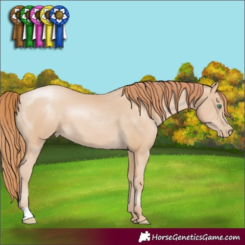 Horse Color:Smoky Black Pearl 