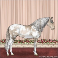 Horse Color:White Spotted Chocolate Palomino Pearl 