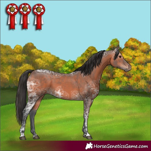 Horse Color:Brown Ice 
