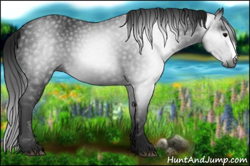 Horse Color:Gray Black 