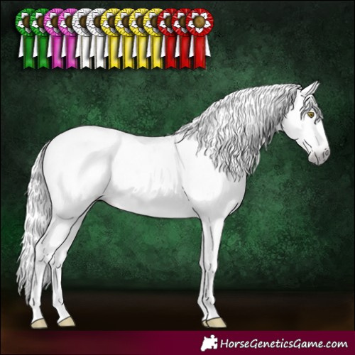 Horse Color:Gray Silver Amber Champagne Sabino Appaloosa Rabicano 