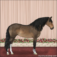 Horse Color:Gray Brown Dun Sabino