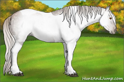 Horse Color:Gray Silver Black Pearl Tobiano 