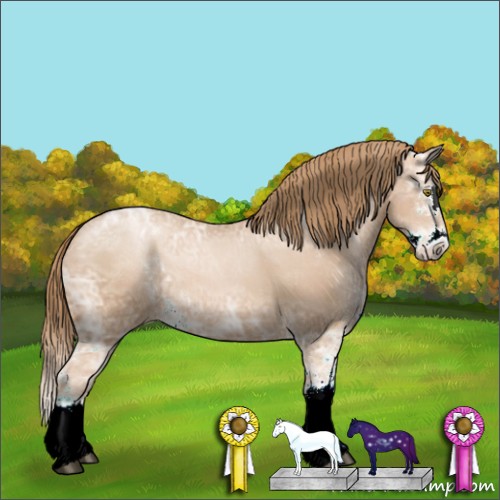 Horse Color:Chestnut Ice Pearl Sabino Splash 