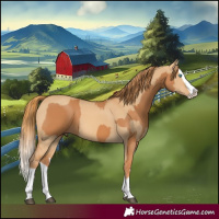 Horse Color:Chestnut Splash and Red Dun Splash