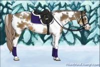 Horse Color:White Spotted Chocolate Palomino Sabino 