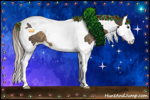 Horse Color:Chocolate Palomino Splash Tobiano Rabicano 