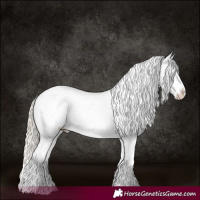 Horse Color:Palomino Splash Appaloosa 