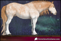 Horse Color:White Spotted Chestnut