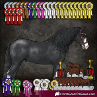 Horse Color:Black Sabino