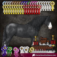 Horse Color:Black Sabino