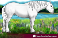 Horse Color:Gray White Spotted Silver Black Pearl Tobiano 