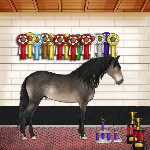 Horse Color:Gray Brown Dun Mushroom Brindle 