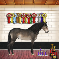 Horse Color:Gray Brown Dun Mushroom Brindle 