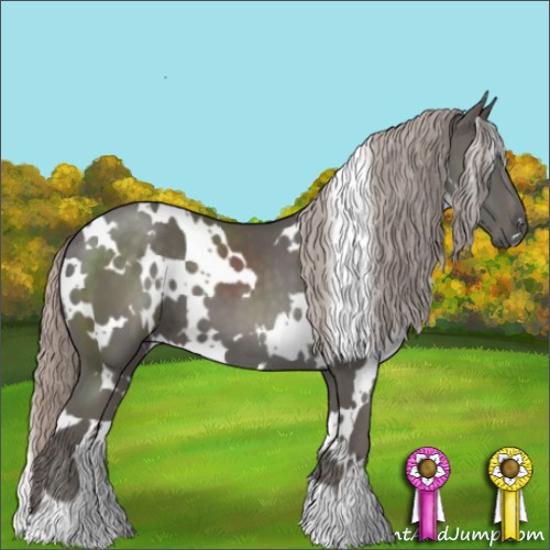 Horse Color:White Spotted Silver Black 