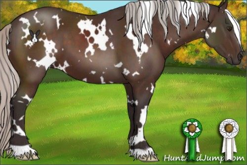 Horse Color:White Spotted Silver Brown 