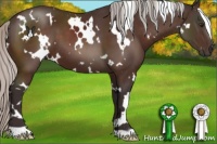 Horse Color:White Spotted Silver Brown 