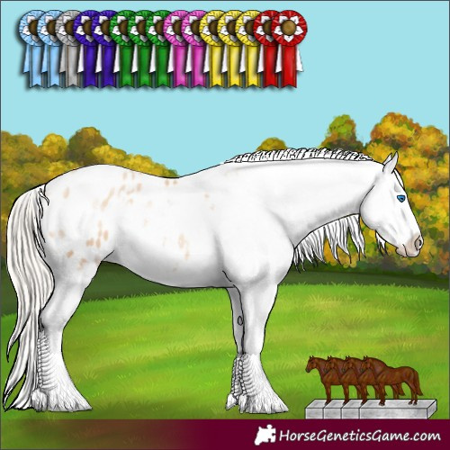 Horse Color:White Spotted Gold Cream Champagne Pearl Splash Appaloosa 