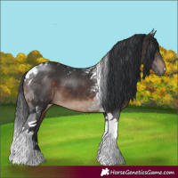 Horse Color:Brown Tobiano 