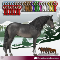 Horse Color:Black Sabino Rabicano