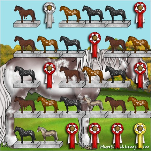 Horse Color:White Spotted Chocolate Silver Blue Onyx Chinchilla