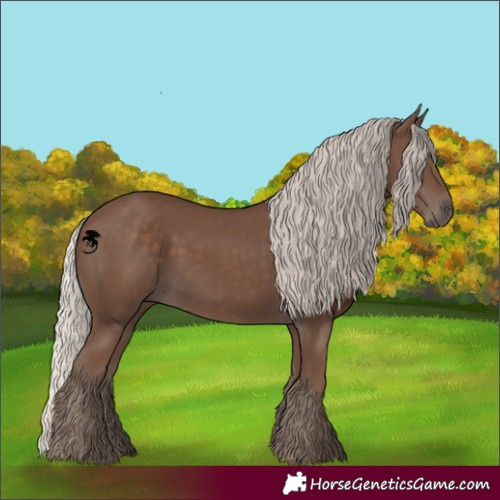 Horse Color:Silver Black 
