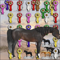 Horse Color:Brown 