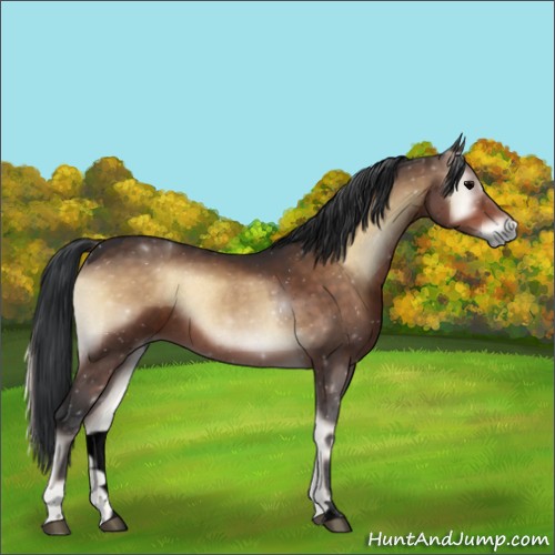 Horse Color:Void Brown Roan Onyx 