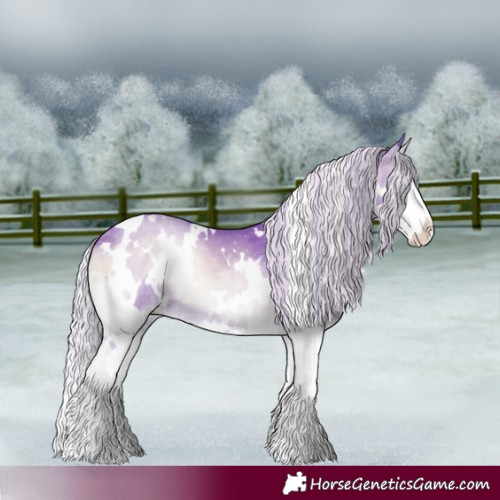 Horse Color:Watercolor White Spotted Silver Blue Onyx Chinchilla Splash 