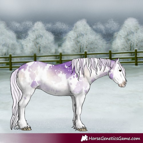 Horse Color:Watercolor White Spotted Silver Blue Onyx Chinchilla Splash 