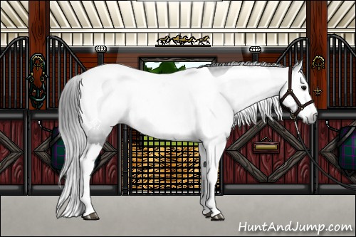 Horse Color:Gray Black Splash Tobiano 