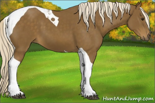 Horse Color:Chocolate Palomino Tobiano 