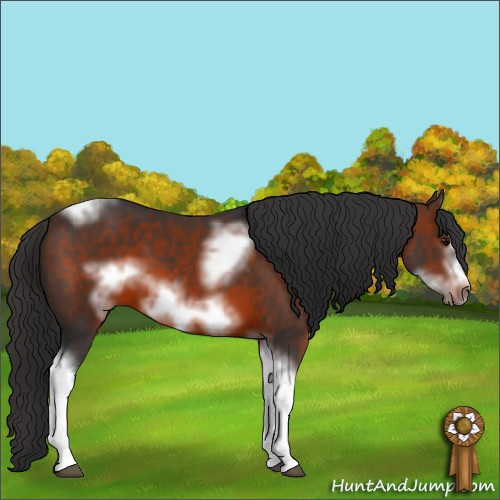 Horse Color:Brown Sabino Tobiano Frame 