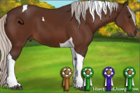 Horse Color:Silver Bay Tobiano