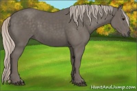 Horse Color:Silver Black 