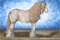 Horse Color:Chestnut Ice Sabino 
