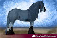Horse Color:ERROR: UNKNOWN ANOMALY