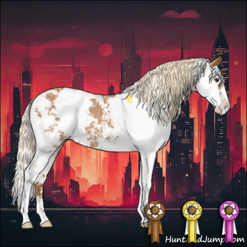 Horse Color:Chestnut Sabino Rabicano