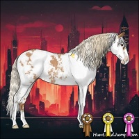 Horse Color:Chestnut Sabino Rabicano